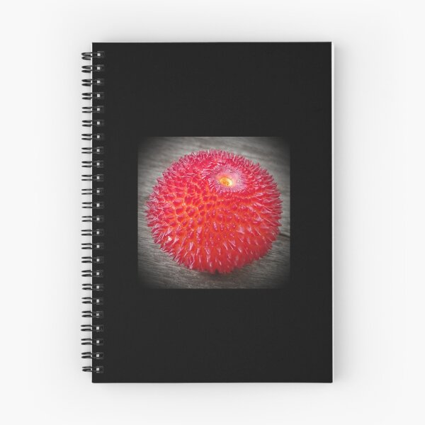 Item preview, Fabulous Planet: Geometry in nature ball arbutus designed and sold by NatureNature.