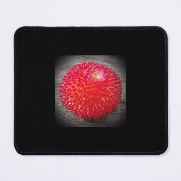 Item preview, Fabulous Planet: Geometry in nature ball arbutus designed and sold by NatureNature.