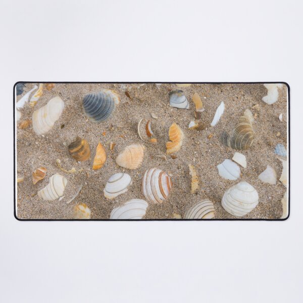 Item preview, Shells designed and sold by cmphotographs.