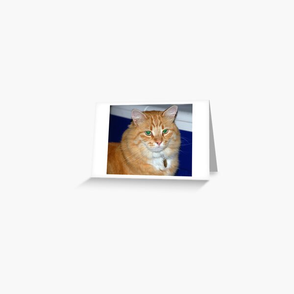 Dickens Greeting Card