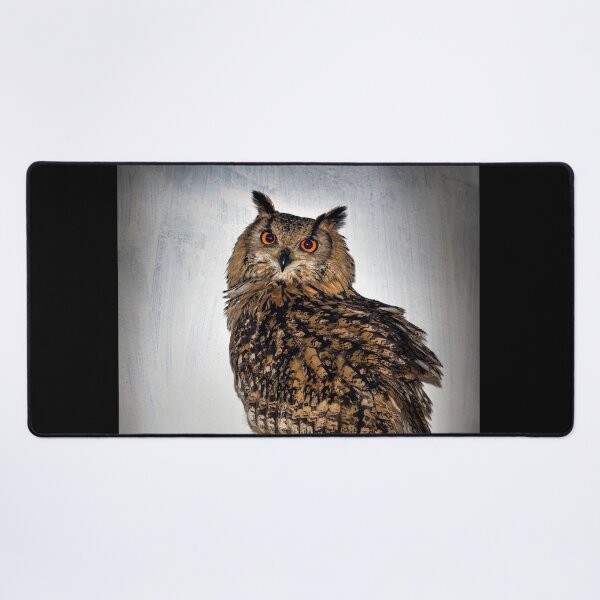 Item preview, Long Eared Owl designed and sold by cmphotographs.