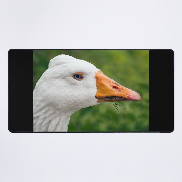 Item preview, Goosey Goosey Gander designed and sold by cmphotographs.