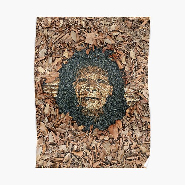Pebble Shamen Poster