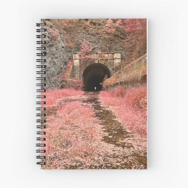 Artikelvorschau, Paw Paw Tunnel - Rosa Unterwelt entworfen und verkauft von Nicolas Raymond.