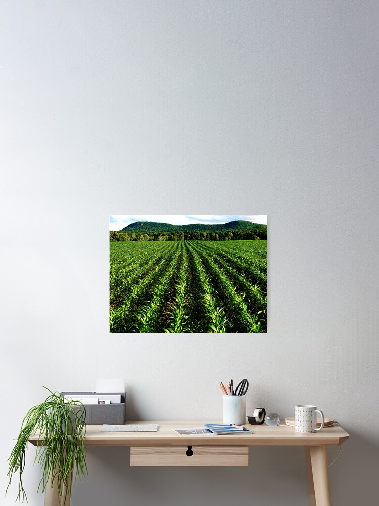 Thumbnail 2 of 3, Poster, MAIZE designed and sold by alvinsan9.