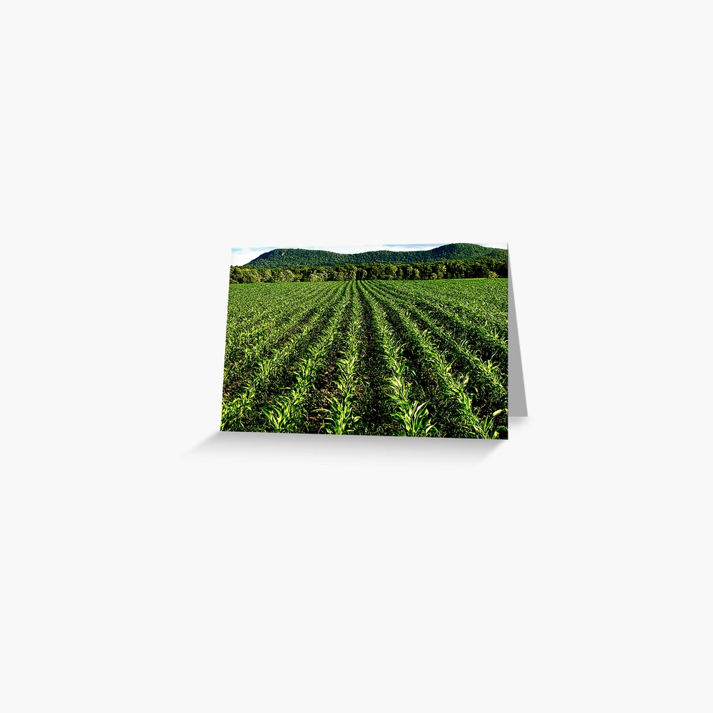 Item preview, Greeting Card designed and sold by alvinsan9.