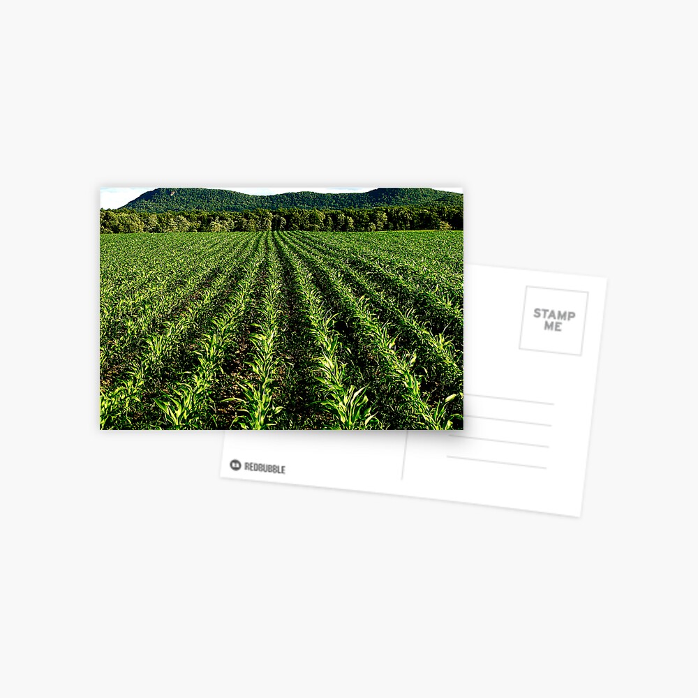 Item preview, Postcard designed and sold by alvinsan9.