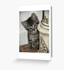 lil' one Greeting Card