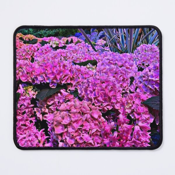 Item preview, hydrangea macrophylla rose. designed and sold by Shubatdesigns.