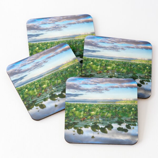 Item preview, American Lotus in Pymatuning Reservoir designed and sold by Kathy Weaver.