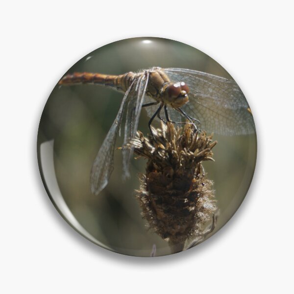 Item preview, Dragonfly designed and sold by Nicole Gath.