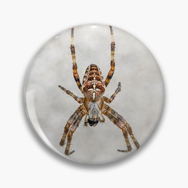Item preview, The European Garden Spider designed and sold by EmilyThomson.
