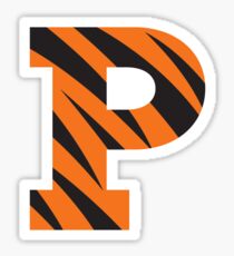 Princeton! Sticker