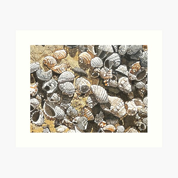 Item preview, Shell We Dance? (Miners Beach, Australia) designed and sold by Richard Klekociuk.
