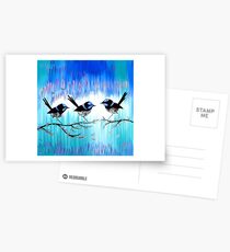 Fairy Wrens Postcards
