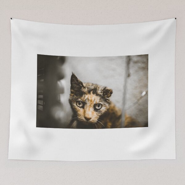 Item preview, Caturday designed and sold by DaghitaVisuals.
