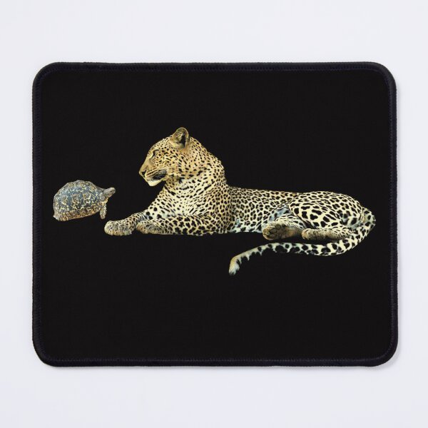 Item preview, Leopard with leopard tortoise - big cat in Africa designed and sold by TShirtsundMehr.