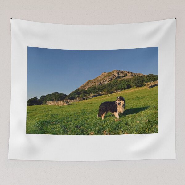 Item preview, Going Up. designed and sold by Michael Haslam.