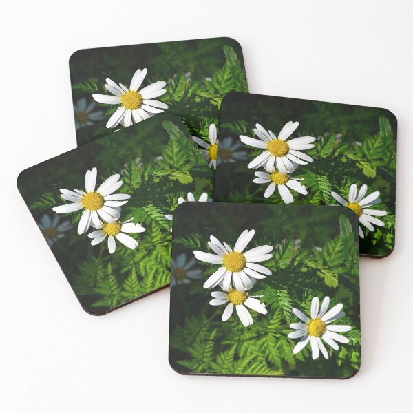 Item preview, white forest flower | nature photography designed and sold by Mii-pics.