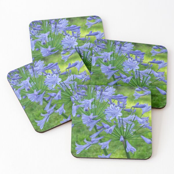 Item preview, Agapanthus in blue designed and sold by Photopat.