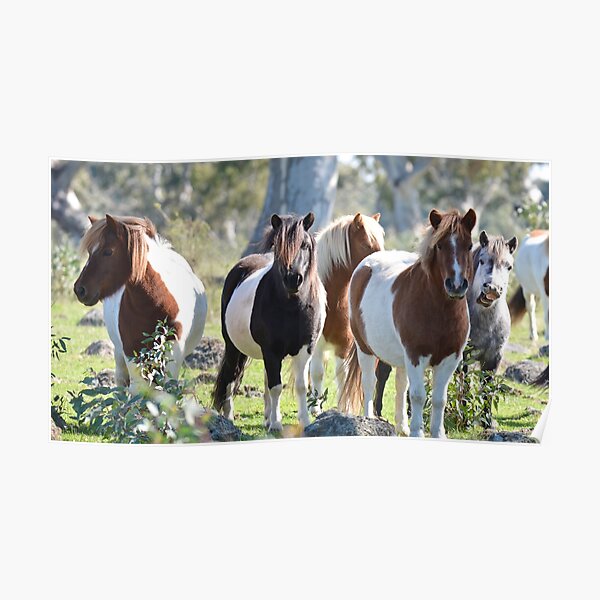 There's One in Every Group. Poster
