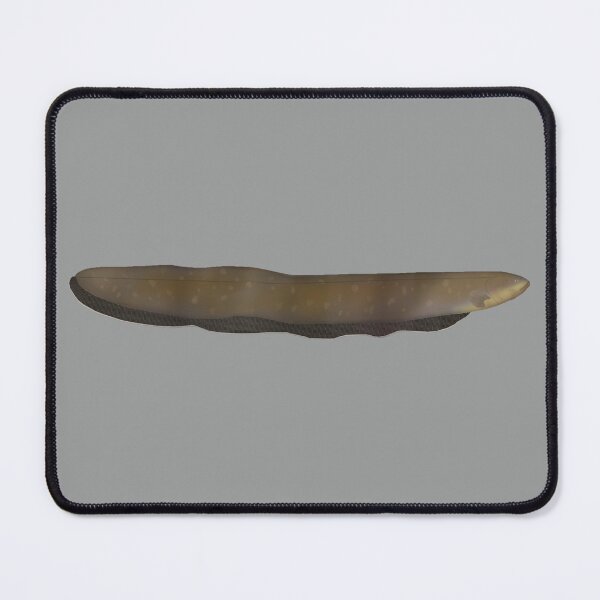 Item preview, Electric Eel designed and sold by fishfolkart.