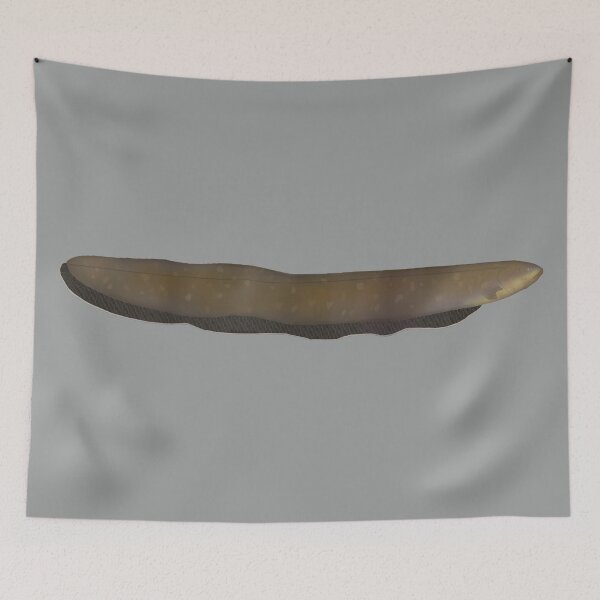 Item preview, Electric Eel designed and sold by fishfolkart.