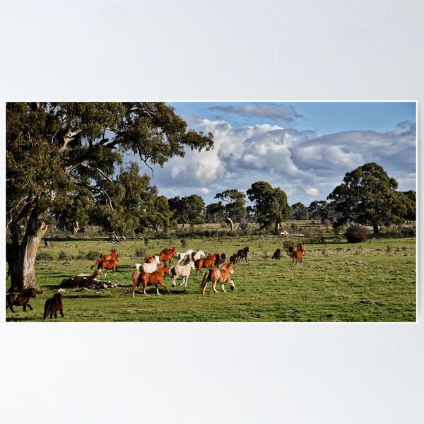 Item preview, Horses Running on a Winters Afternoon. designed and sold by Vicki Johnson.