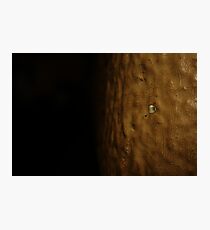 Wrinkles Photographic Print