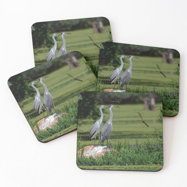 Item preview, beautiful Birds  designed and sold by isazzy.