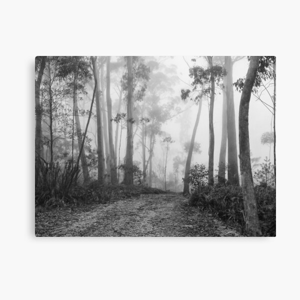 Misty View Canvas Print