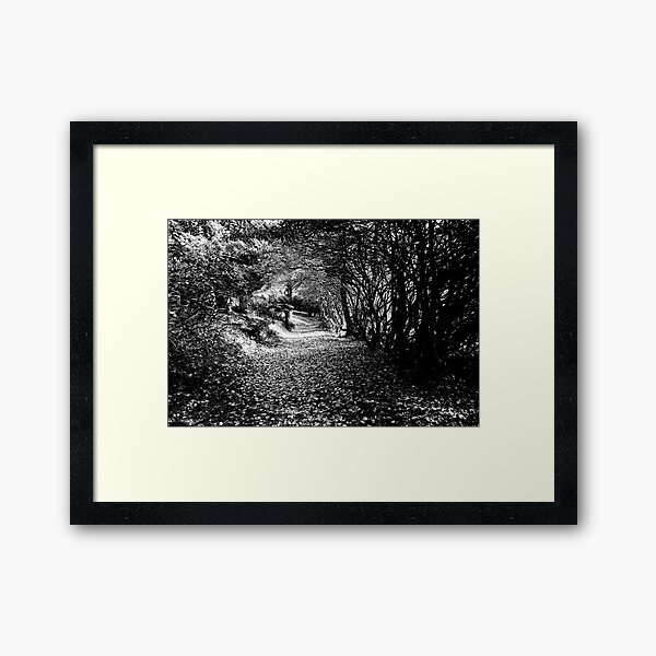 Autumn Tunnel Framed Art Print