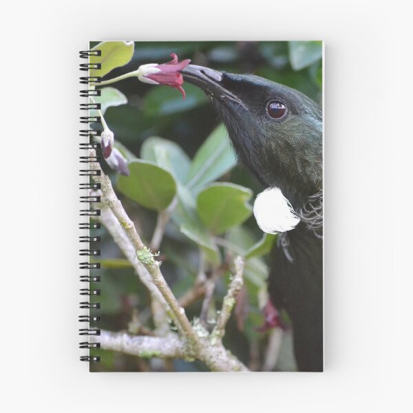 Item preview, Tui feeding on a flower designed and sold by lizdomett.