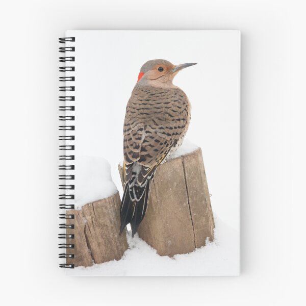 Item preview, Flicker in the Snow designed and sold by Leslie Banks.