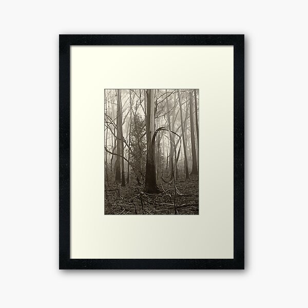 Item preview, Misty Trees designed and sold by Geoff Smith.