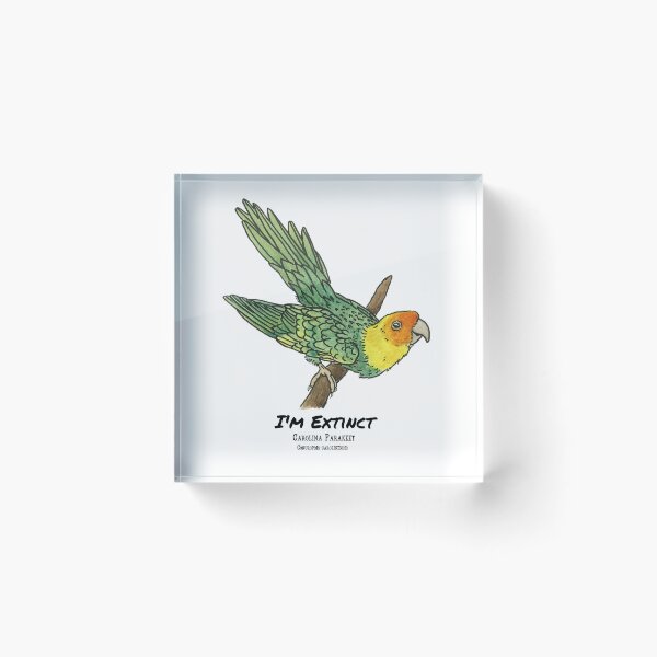 Item preview, Carolina Parakeet- I'm Extinct designed and sold by Alexis Rodefer.