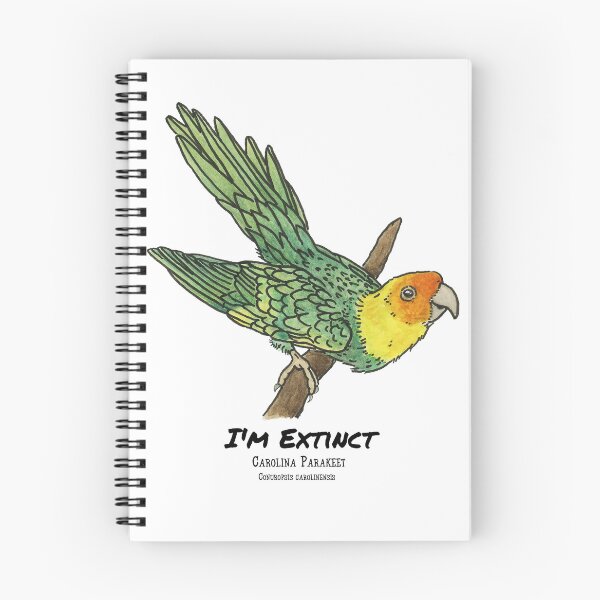 Item preview, Carolina Parakeet- I'm Extinct designed and sold by Alexis Rodefer.