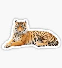Tiger Sticker