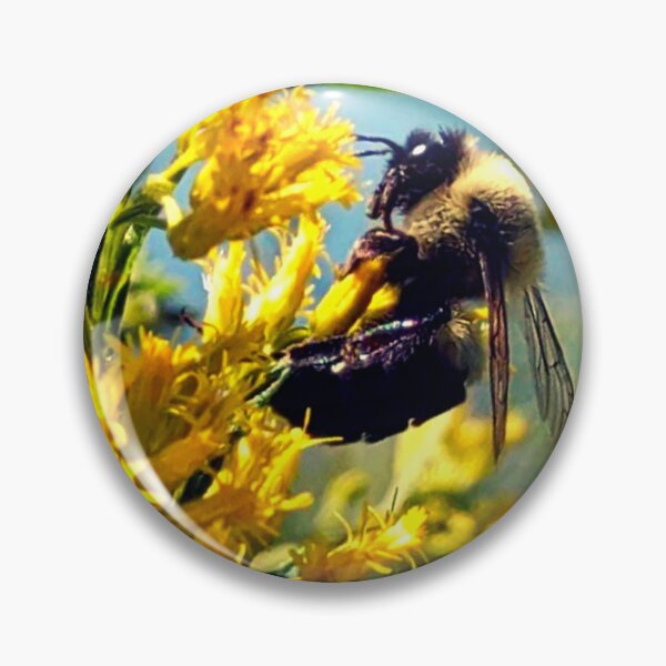 Artikelvorschau, Hummel auf gelber Blume, Foto entworfen und verkauft von Grey Robinson.