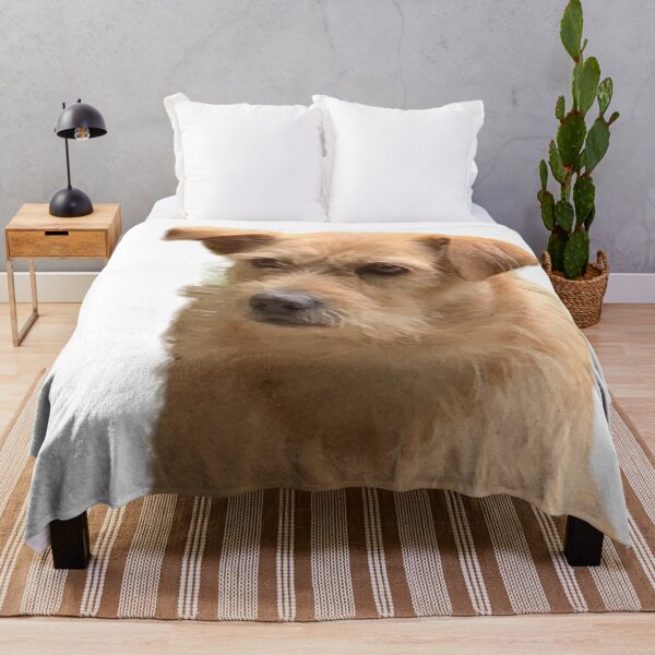 Item preview, Brown Dog designed and sold by buycostarica.