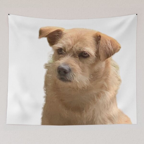 Item preview, Brown Dog designed and sold by buycostarica.