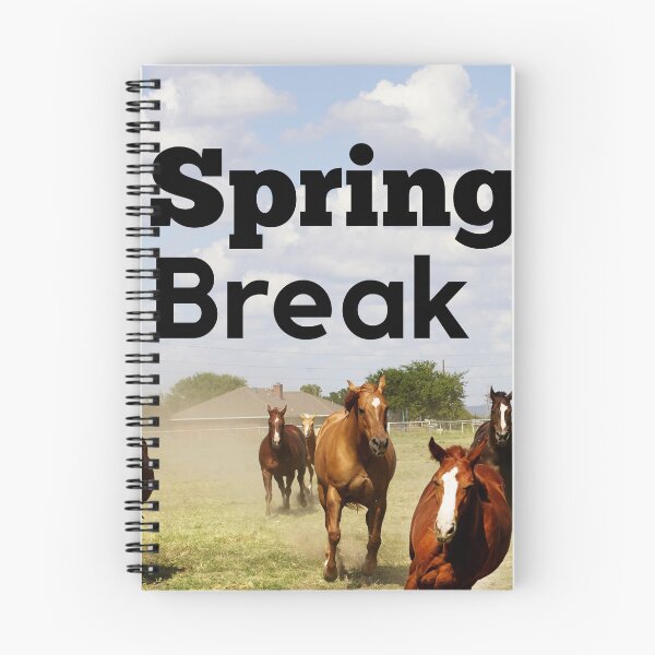 Item preview, Spring Break designed and sold by Demetria3.