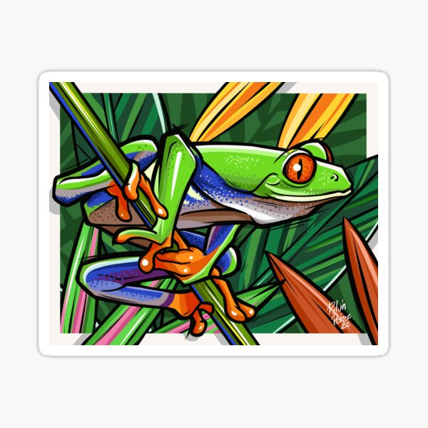 Costa Rica Frog Gifts & Merchandise for Sale
