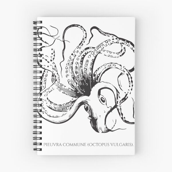 Item preview, Common Octopus Scientific Style designed and sold by JacobPloesser.