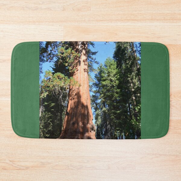 Item preview, South California redwood,  giant sequoia tree. designed and sold by naturematters.