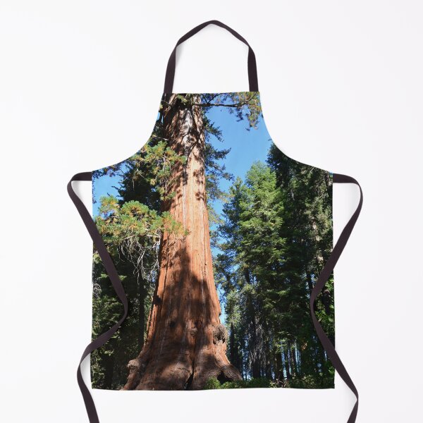 Item preview, South California redwood, giant sequoia tree. designed and sold by naturematters.