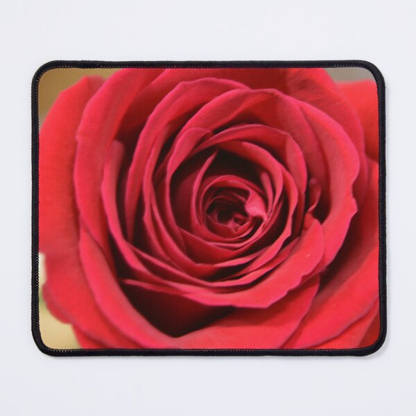 Item preview, Lovely red rose flower close up picture. Floral photography. designed and sold by naturematters.