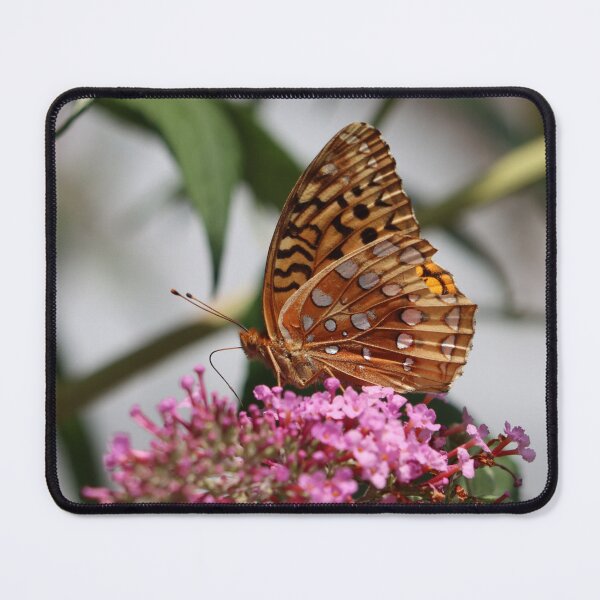 Item preview, Great Spangled Fritillary on a Butterfly Bush designed and sold by LisaNaturePhoto.