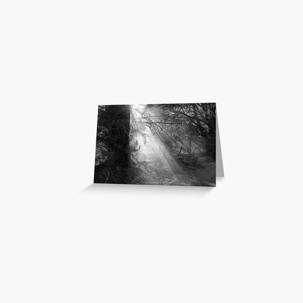 Filtered Greeting Card