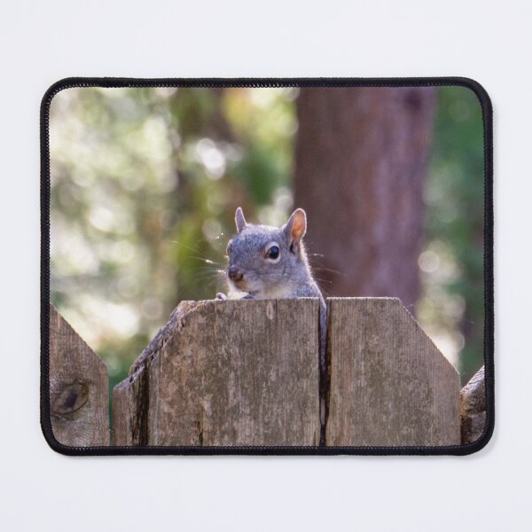Item preview, Peek A Boo designed and sold by ArcadianFrame.